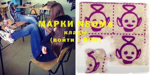 крисы Ростов