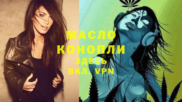гашик Россошь