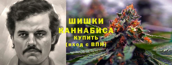 крисы Ростов
