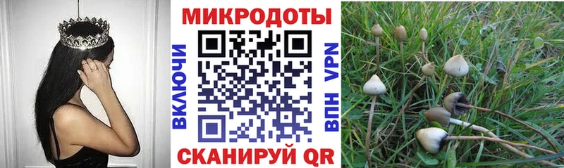 это официальный сайт  ОМГ ОМГ вход  Аксай  Псилоцибиновые грибы ЛСД 