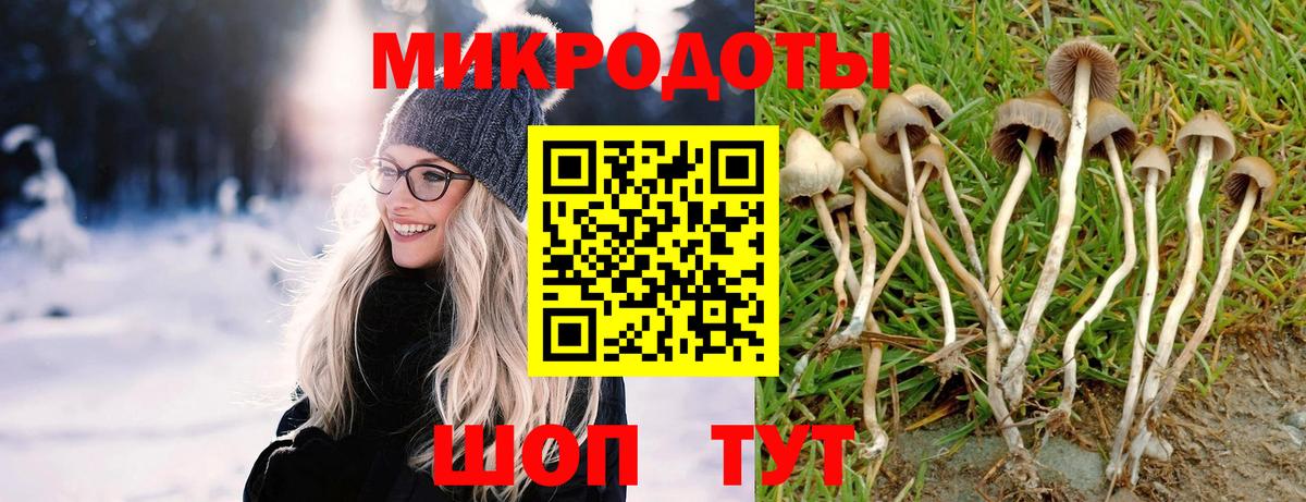 Псилоцибиновые грибы Psilocybe Аксай