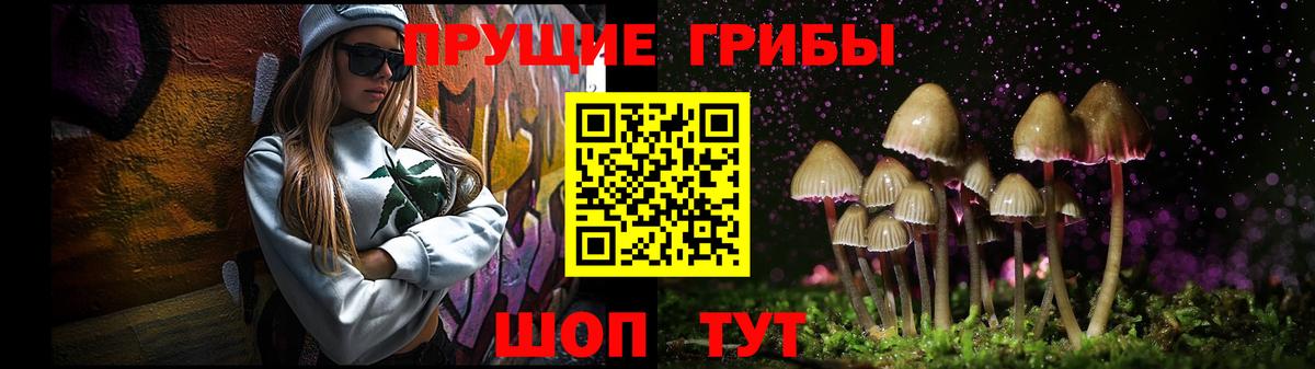 Галлюциногенные грибы Psilocybine cubensis  Галлюциногенные грибы Cubensis  где продают   Аксай  Вход с VPN 