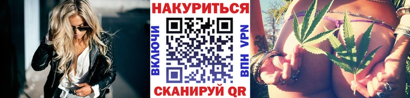 Конопля сатива  Аксай 